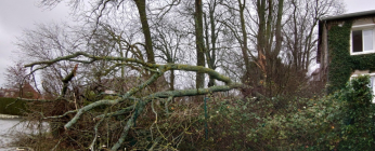 Vents violents et tempêtes : quelles sont les différences ?