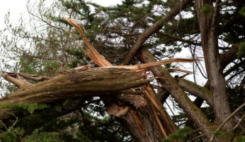 Vidéo : la Vigilance météorologique