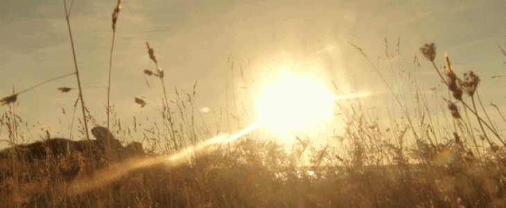 L'année 2020 pourrait être parmi les années les plus plus chaudes mesurées en France