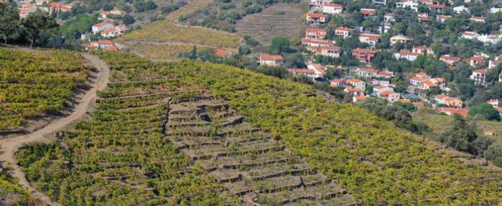 La vue aérienne sur Collioure depuis fort Saint Elme.