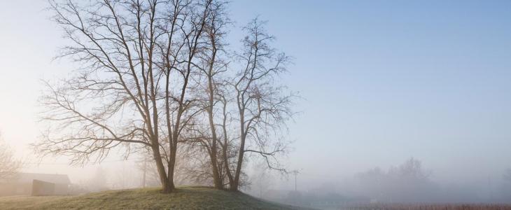 Illustration hiver doux