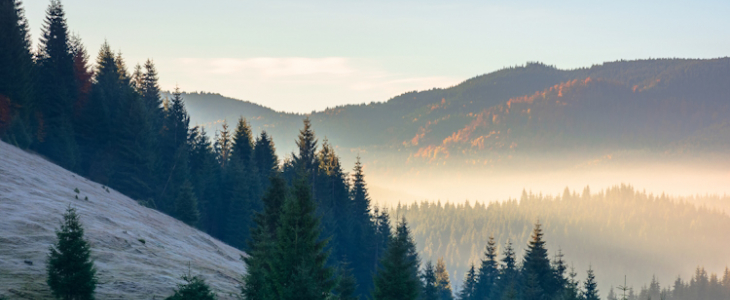“Noël au balcon, Pâques au tison ?"