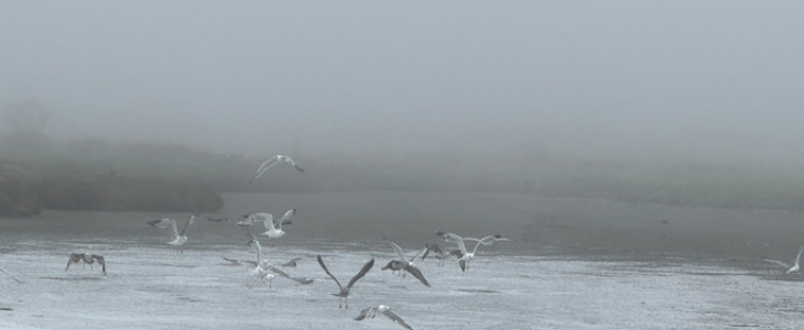 Les entrées maritimes peuvent provoquer de la brume.