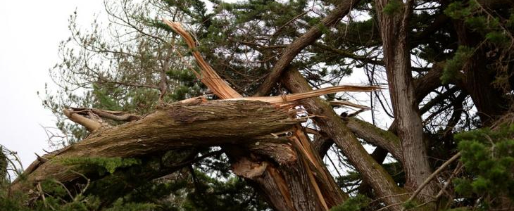 Vidéo : la Vigilance météorologique