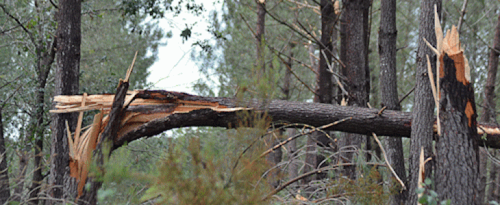 Il se produit en moyenne quelques dizaines de tornades en France métropolitaine