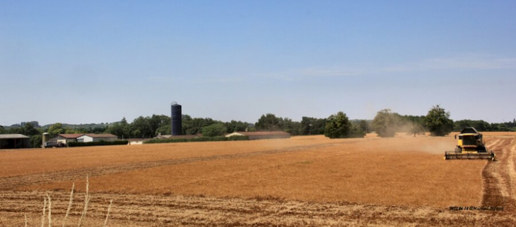 Il fait chaud sur la France depuis le 1er juin.