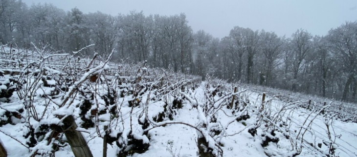 Il a neigé à basse altitude hier mardi, comme ici sur les vignes de Bourgogne.