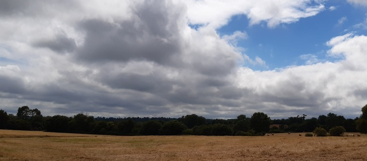 Les nuages prédomineront cette semaine.