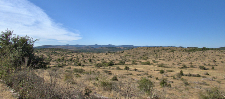La sécheresse des sols est à un niveau historique sur une grande partie du territoire.