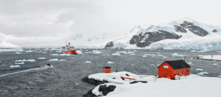 Antarctique : températures exceptionnelles et recul record de la banquise.