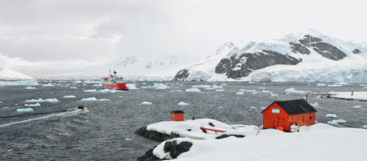 La température de l'Arctique 25 degrés au-dessus de la normale