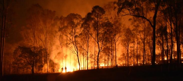 Australie - Incendies