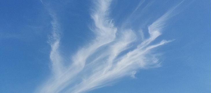 Cirrus fibratus.