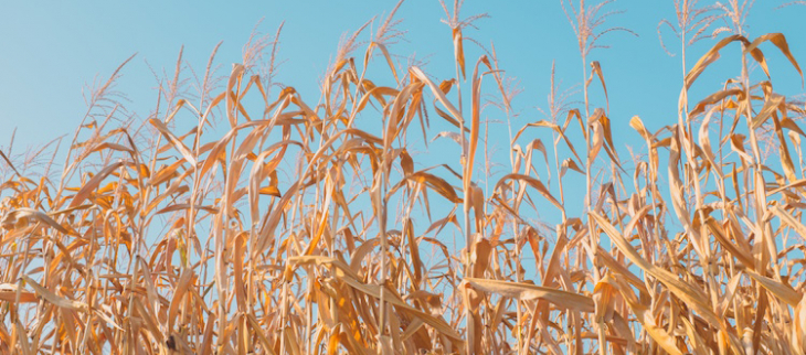 Bilan climatique de l'été 2023.