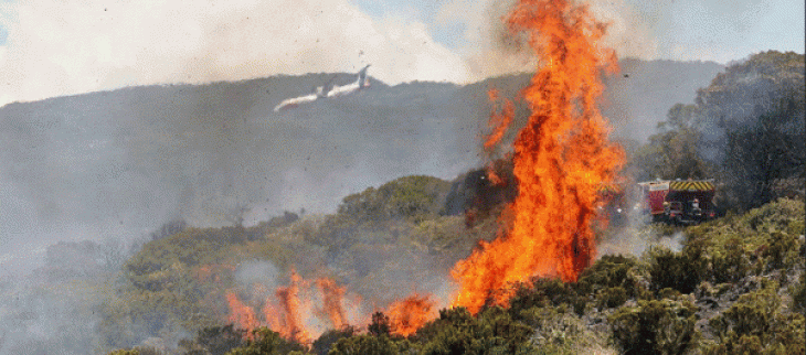 Un incendie ravage depuis vendredi le massif du Maïdo sur l'île de La Réunion