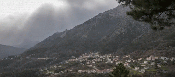 Gelées inédites en Corse cet hiver - © Getty Images