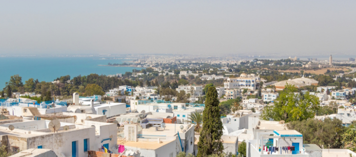 Il a fait 49,0 °C à Tunis (Tunisie).