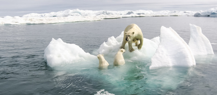 La banquise arctique diminue