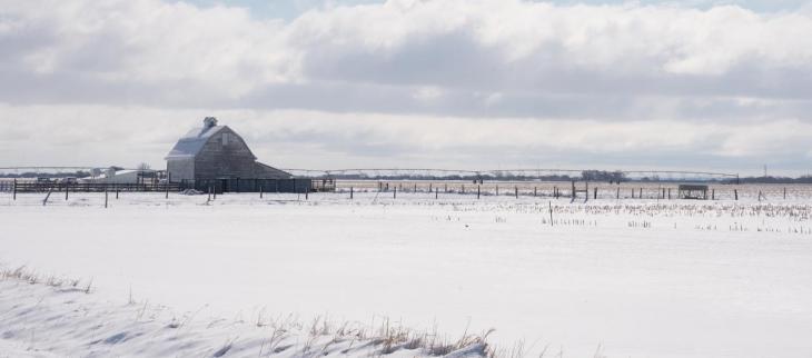 La neige en plaine