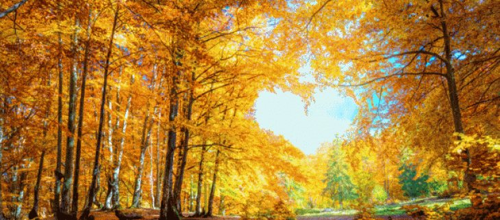 Illustration temps d'automne - © GettyImages