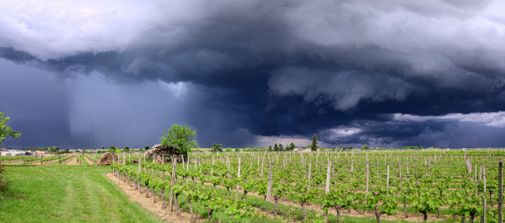 Ciel orageux sur le vignoble bordelais