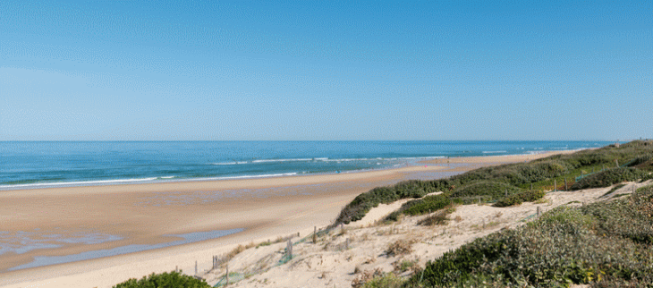 Plage de Biscarosse sous le soleil.