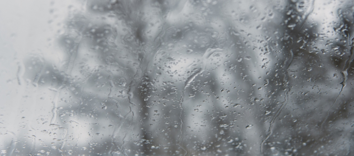 La pluie revient en force cette semaine, voire même la neige sur les frontières du nord.