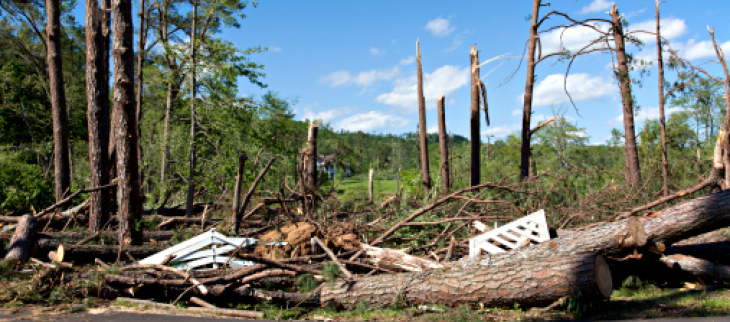 Illustration dégâts tempête - © GettyImages