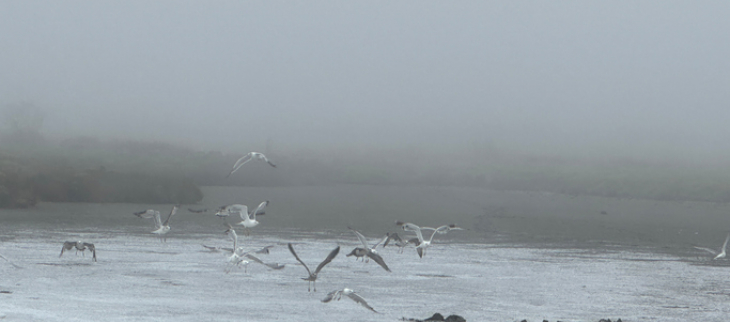 Les entrées maritimes peuvent provoquer de la brume.