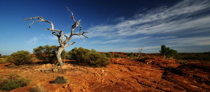 Illustration Australie