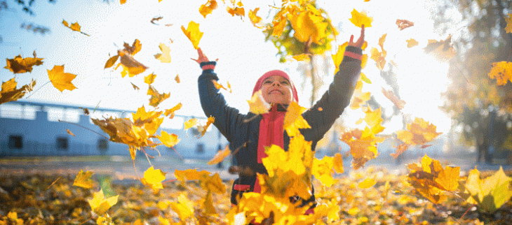 Illustration début d'automne - © GettyImages