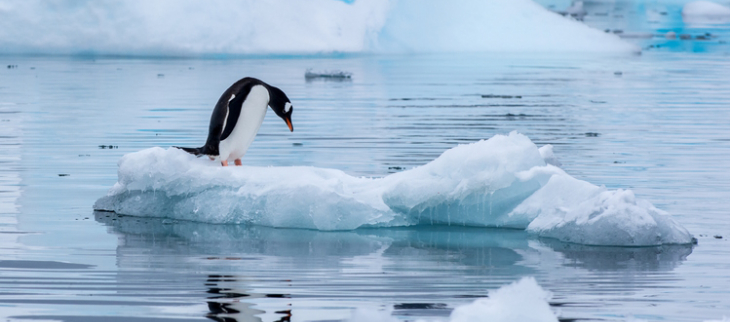 Il n'y a jamais eu aussi peu de glace au pic de l'été austral autour de l 'Antarctique.