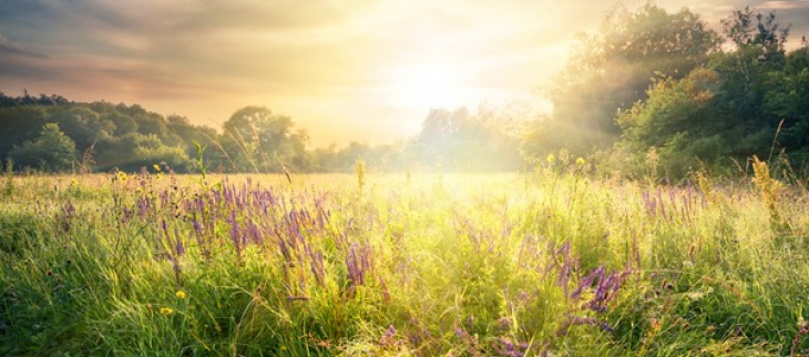 Paysage de printemps.