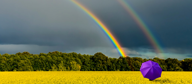 Illustration printemps pluie - © GettyImages