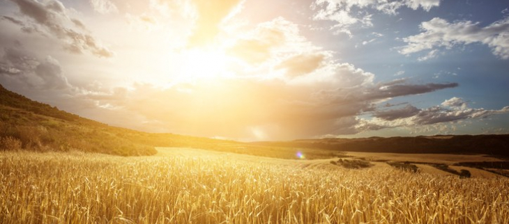 Les climat, les écosystèmes, les sociétés sont interdépendants. 