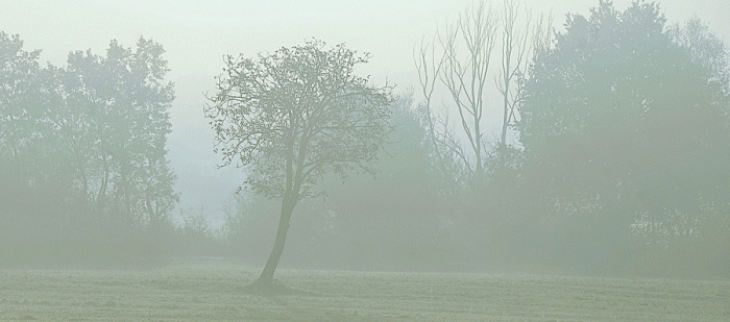 Anticyclone l'automne signifie souvent brouillard et températures fraiches.