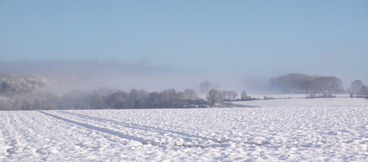 Ce mois de novembre a vu des chutes de neige en plaine, comme ici dans le Pas de Calais.