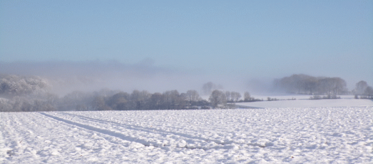 Neige en plaine.