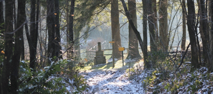 La nuit de la Saint-Sylvestre sera froide, avec des gelées parfois fortes. 