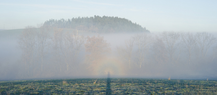Grisailles et brouillards parfois givrants en matinée.