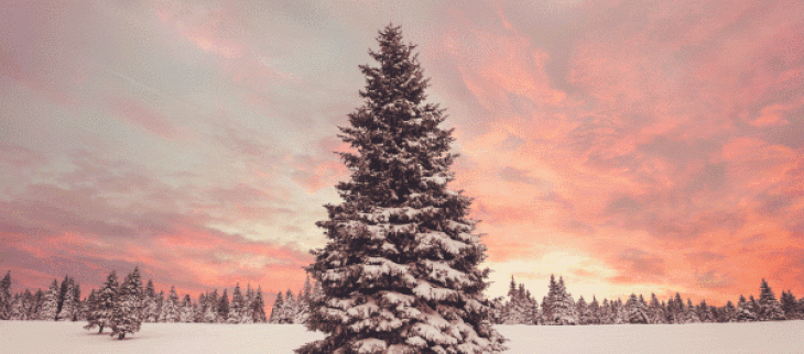 Un Noël bien doux, mais quel est le Noël le plus froid ? Le plus chaud ? Retour sur des jours de Noël mémorables.