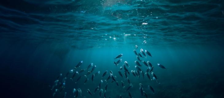 La hausse du niveau de la mer s’est accélérée.