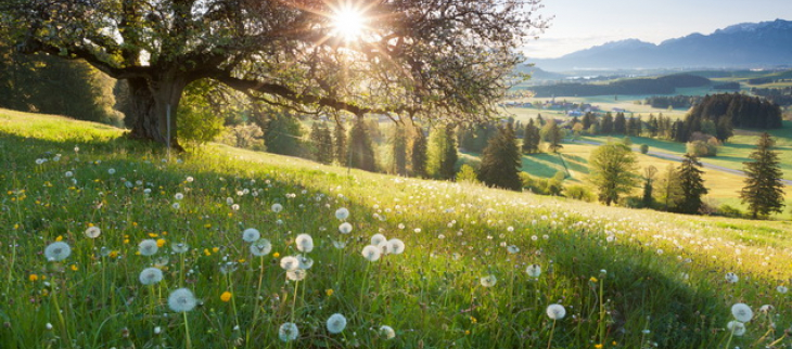 Paysage de printemps.