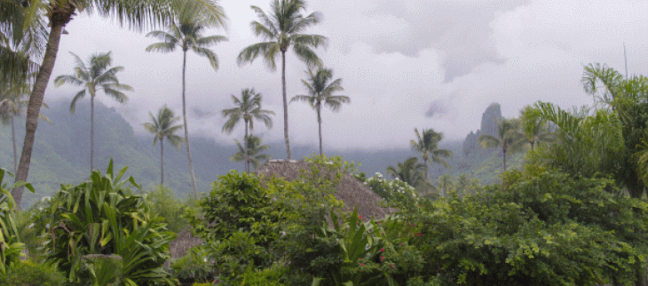 De fortes pluies concernent Tahiti 