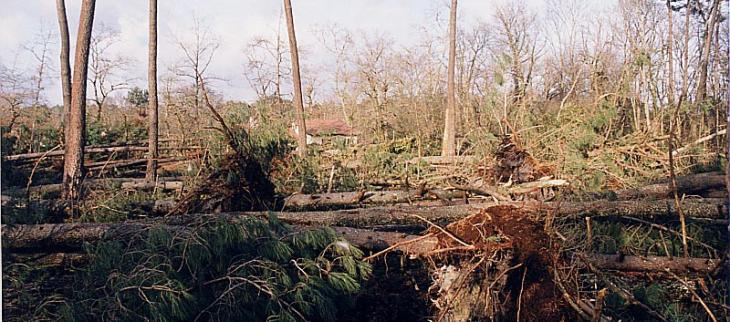 Dégâts provoqués par la tempête Lothar en France