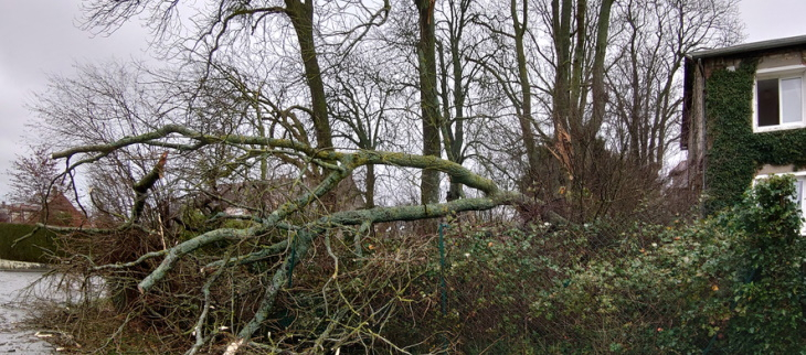 Vents violents et tempêtes : quelles sont les différences ?