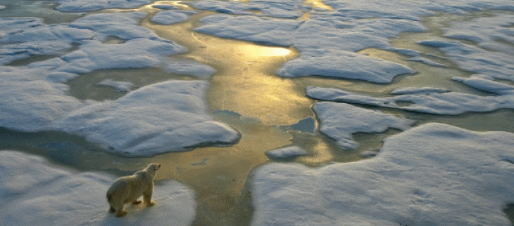 La neige et la cryosphère sont au cœur du système climatique global.