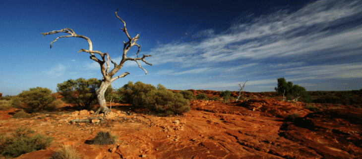 Des niveaux de chaleur records sont atteints en Australie et en Argentine. 