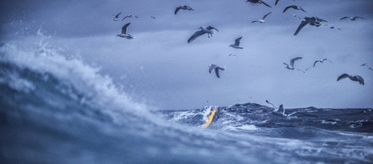  dès le déclenchement de la balise de détresse du skipper, Météo-France a lancé son modèle de dérive nommé MOTHY pour simuler les différentes trajectoires de la balise et localiser le navigateur 