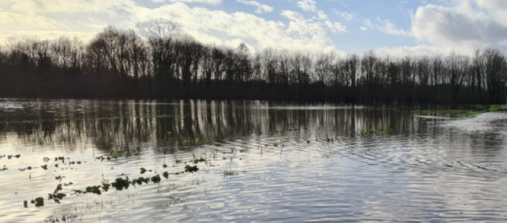 Illustration d'une inondation